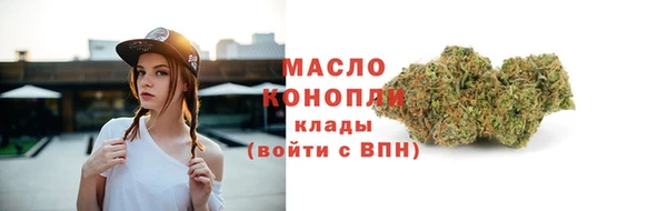 гашик Корсаков