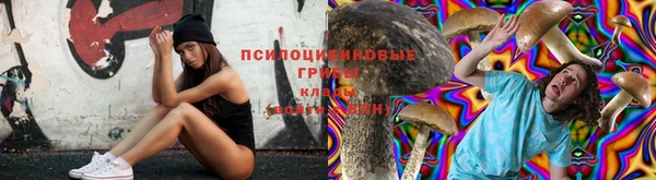 2c-b Костерёво